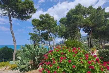 Cavallino Sea House Cefalu Bagian luar foto